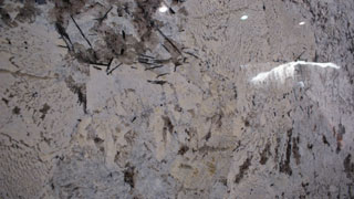 Travertine Tile – Add the Perfect Touch of Elegance on a Budget you Can Afford j26 ontariogranite.org