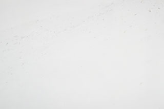 White Marble is an Enduring Asset to the Home j49 whitemarble.ca