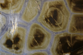 Are Granite Countertops in Mississauga Homes the Best Choice j67 premiummarble.org